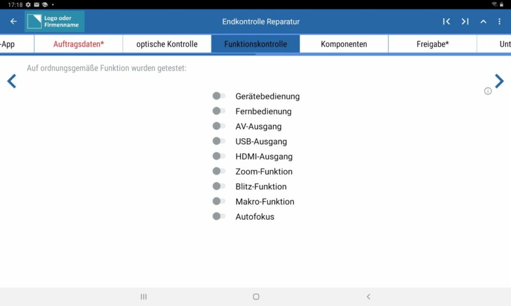 Endkontrolle Reparatur Screenshot